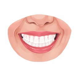 Unlocking Your Smile's Potential: Understanding the Importance of Jaw Alignment in Dental Health